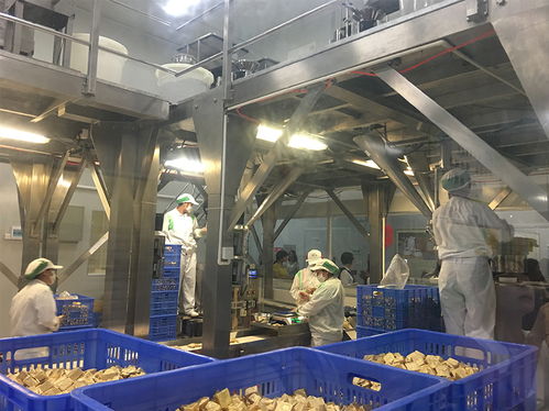 三里人家勁家莊之旅 探訪國家AAA級旅游工廠，解鎖游樂園式服務(wù)新體驗